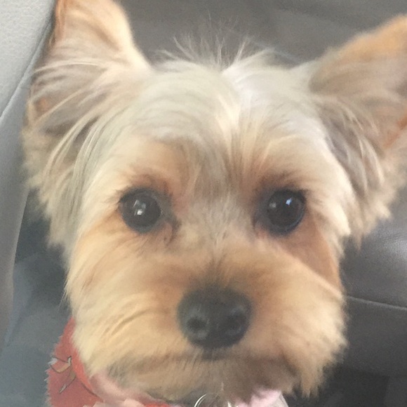 Meet your Posher, Erin - Picture 1 of 1